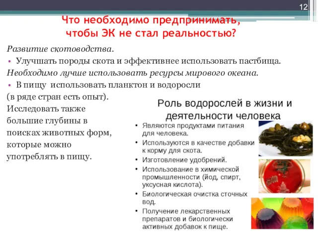 Что необходимо предпринимать, чтобы ЭК не стал реальностью? Развитие скотоводства.