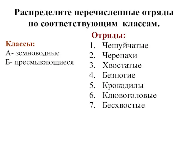 Распределите перечисленные отряды по соответствующим классам. Классы: А- земноводные Б-