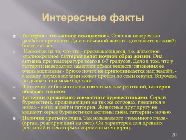 Интересные факты Гаттерия - это «живое ископаемое». Осколок невероятно далёкого