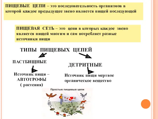 ПИЩЕВЫЕ ЦЕПИ – это последовательность организмов в которой каждое предыдущее