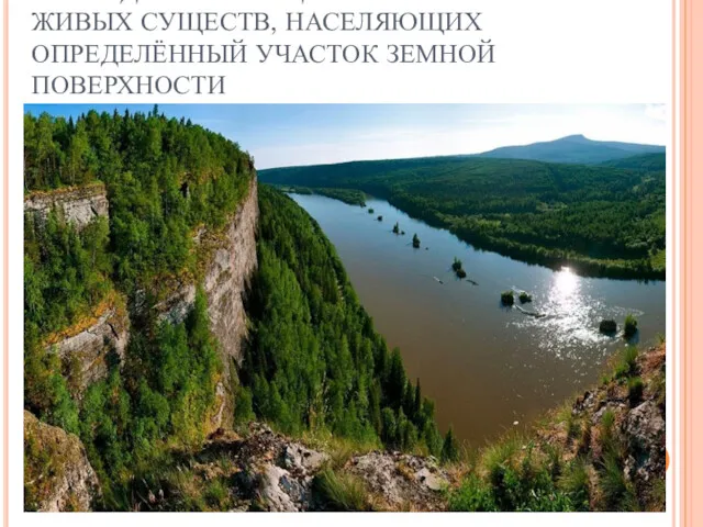 ПРИРОДНОЕ СООБЩЕСТВО – СОВОКУПНОСТЬ ЖИВЫХ СУЩЕСТВ, НАСЕЛЯЮЩИХ ОПРЕДЕЛЁННЫЙ УЧАСТОК ЗЕМНОЙ ПОВЕРХНОСТИ