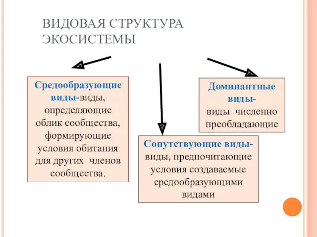 ВИДОВАЯ СТРУКТУРА ЭКОСИСТЕМЫ Средообразующие виды-виды,определяющие облик сообщества, формирующие условия обитания