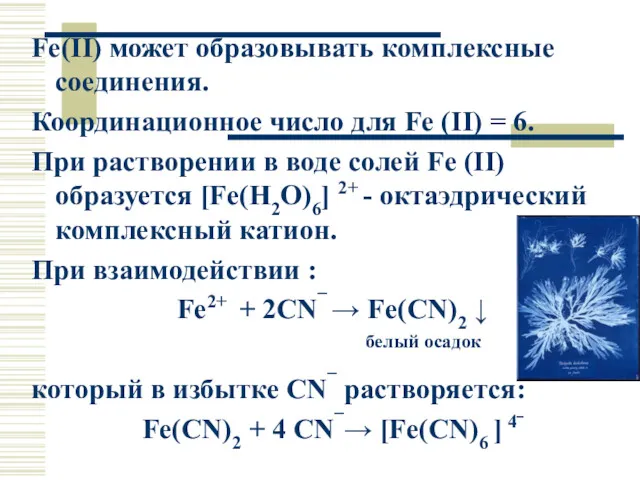 Fe(II) может образовывать комплексные соединения. Координационное число для Fe (II)