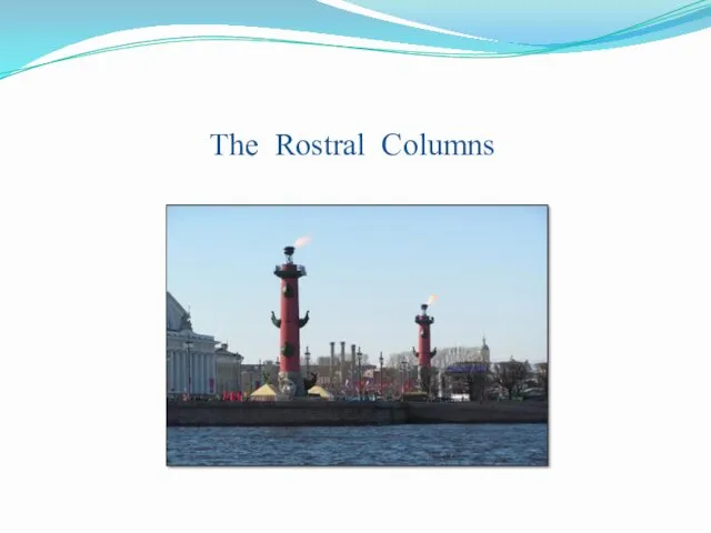 The Rostral Columns