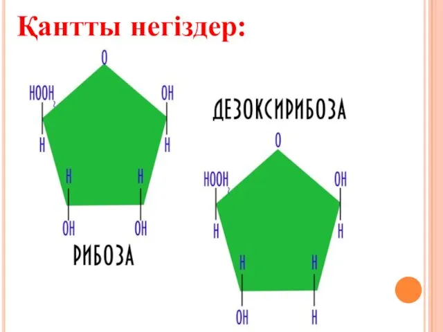 Қантты негіздер: