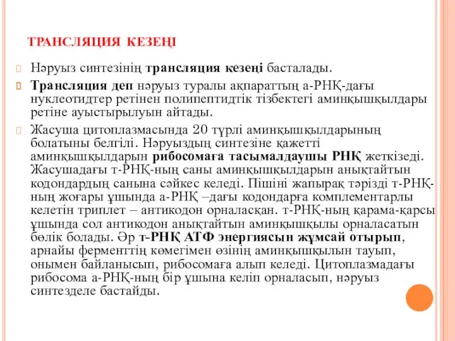 трансляция кезеңі Нәруыз синтезінің трансляция кезеңі басталады. Трансляция деп нәруыз