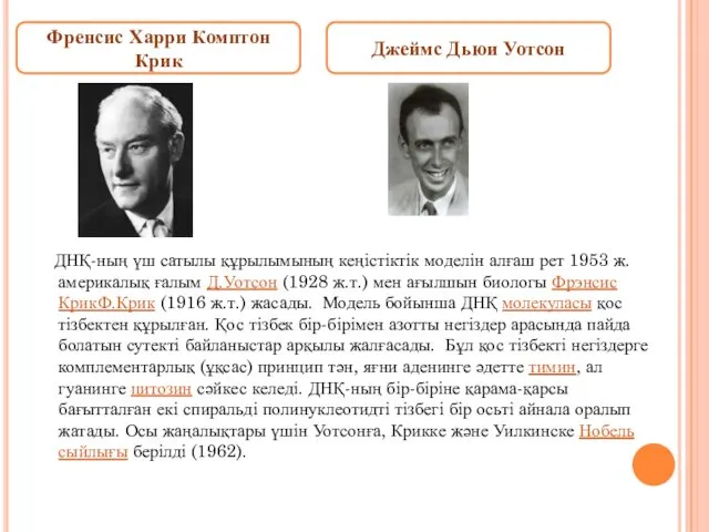 ДНҚ-ның үш сатылы құрылымының кеңістіктік моделін алғаш рет 1953 ж.