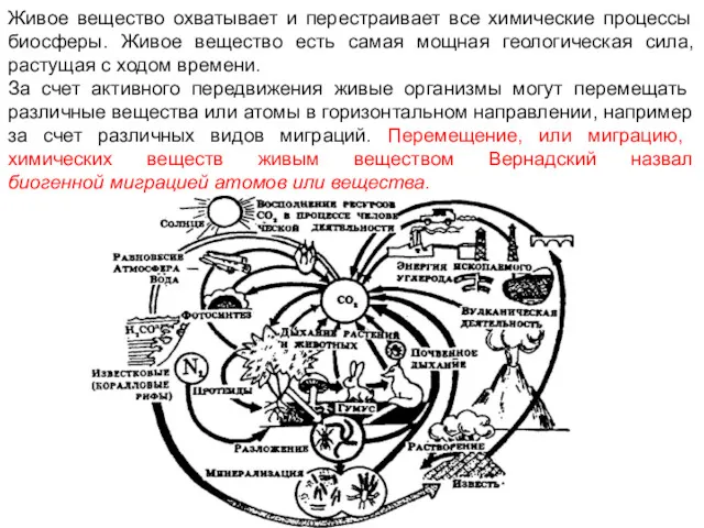 Живое вещество охватывает и перестраивает все химические процессы биосферы. Живое