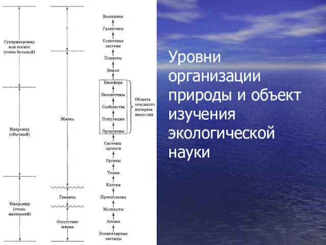 Уровни организации природы и объект изучения экологической науки