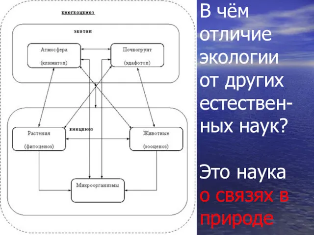 В чём отличие экологии от других естествен-ных наук? Это наука о связях в природе