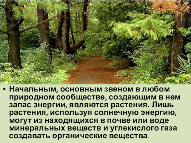 Начальным, основным звеном в любом природном сообществе, создающим в нем