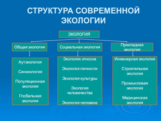 СТРУКТУРА СОВРЕМЕННОЙ ЭКОЛОГИИ ЭКОЛОГИЯ Общая экология Социальная экология Прикладная экология