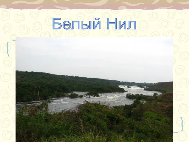 Начинается у 2,5о ю.ш. 30о в.д. – река Кагера, которая