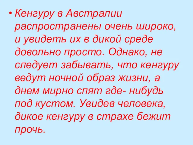 Кенгуру в Австралии распространены очень широко, и увидеть их в