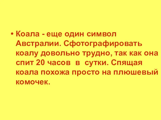 Коала - еще один символ Австралии. Сфотографировать коалу довольно трудно,