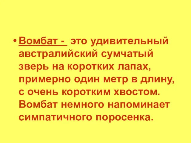 Вомбат - это удивительный австралийский сумчатый зверь на коротких лапах,