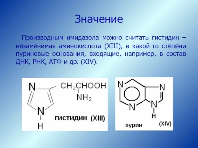 Значение Производным имидазола можно считать гистидин – незаменимая аминокислота (XIII),