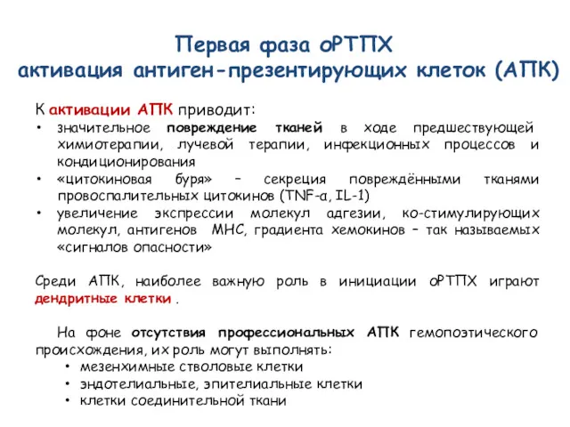 Первая фаза оРТПХ активация антиген-презентирующих клеток (АПК) К активации АПК