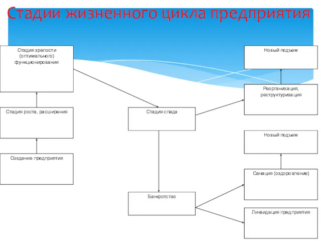 Стадии жизненного цикла предприятия