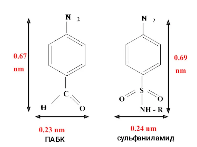 0.23 nm 0.24 nm 0.67 nm 0.69 nm