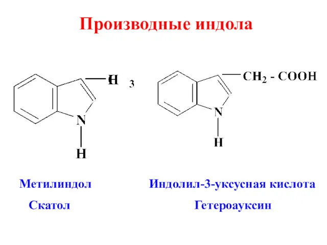 Производные индола Метилиндол Индолил-3-уксусная кислота Скатол Гетероауксин