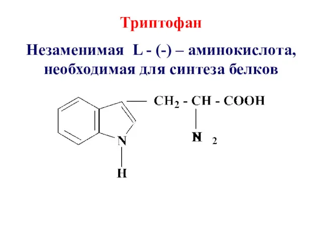 Триптофан Незаменимая L - (-) – аминокислота, необходимая для синтеза белков