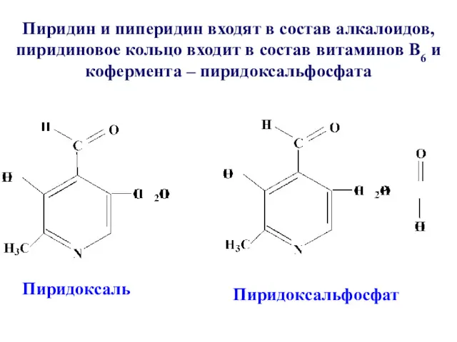 Пиридин и пиперидин входят в состав алкалоидов, пиридиновое кольцо входит