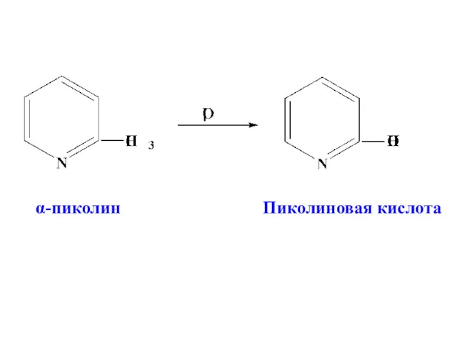 α-пиколин Пиколиновая кислота