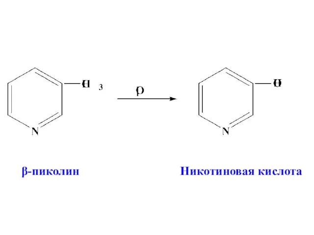 β-пиколин Никотиновая кислота