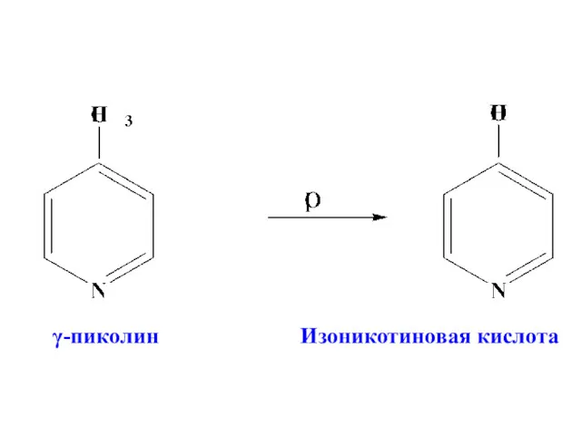 γ-пиколин Изоникотиновая кислота