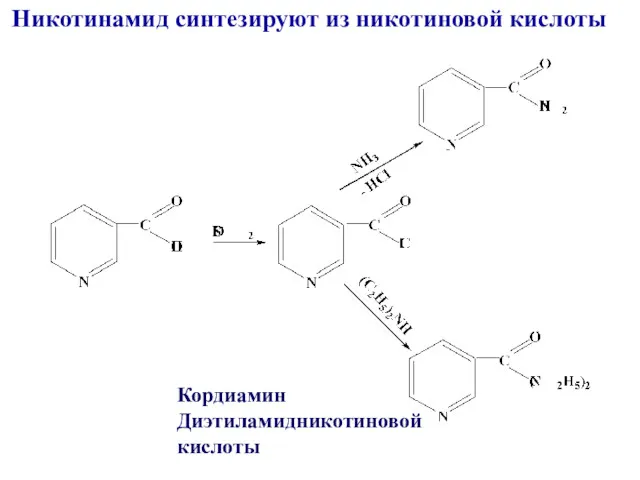 Никотинамид синтезируют из никотиновой кислоты Кордиамин Диэтиламидникотиновой кислоты