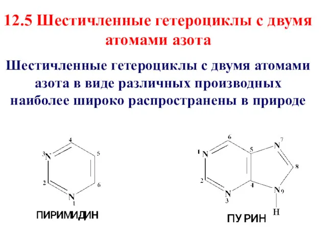 12.5 Шестичленные гетероциклы с двумя атомами азота Шестичленные гетероциклы с