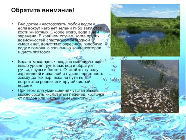 Обратите внимание! Вас должен насторожить любой водоем, если вокруг него