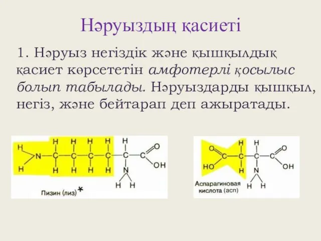 Нәруыздың қасиеті 1. Нәруыз негіздік және қышқылдық қасиет көрсететін амфотерлі