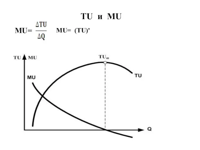 TU и MU MU= MU= (TU)'