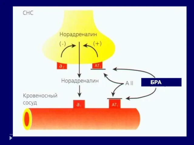 БРА