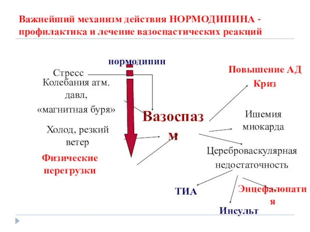 Важнейший механизм действия НОРМОДИПИНА - профилактика и лечение вазоспастических реакций