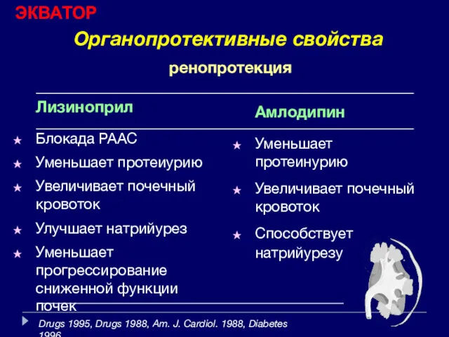 Органопротективные свойства Лизиноприл Блокада РААС Уменьшает протеиурию Увеличивает почечный кровоток