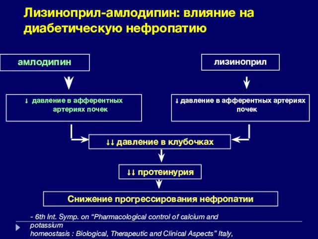 Лизиноприл-амлодипин: влияние на диабетическую нефропатию амлодипин лизиноприл ↓ давление в