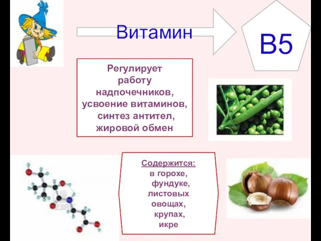 Витамин B5 Регулирует работу надпочечников, усвоение витаминов, синтез антител, жировой