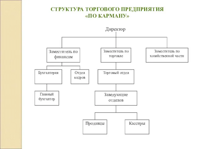 Директор СТРУКТУРА ТОРГОВОГО ПРЕДПРИЯТИЯ «ПО КАРМАНУ»