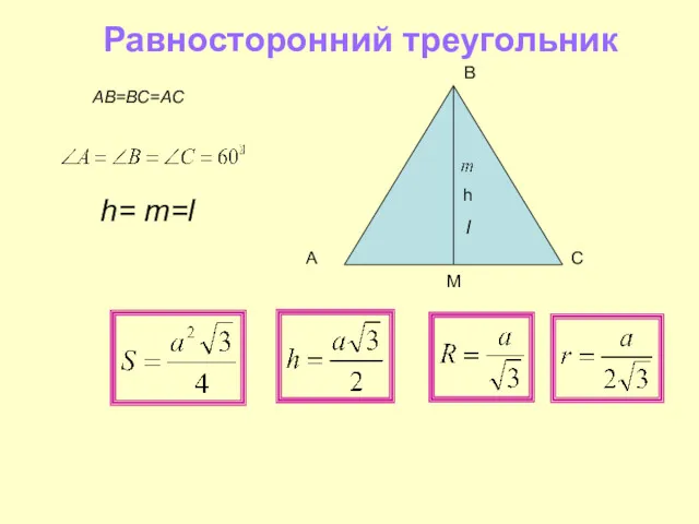 Равносторонний треугольник С h В M h= m=l l АВ=ВС=AС А