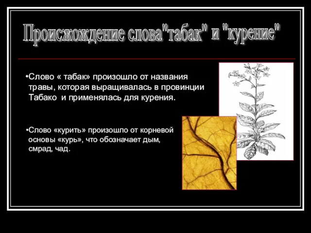 Происжождение слова"табак" Слово « табак» произошло от названия травы, которая