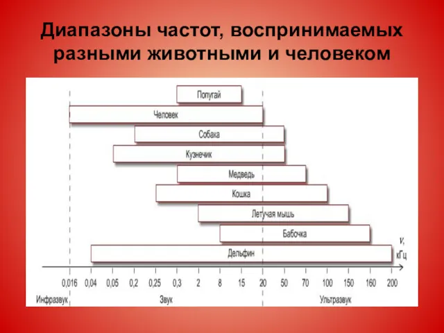 Диапазоны частот, воспринимаемых разными животными и человеком