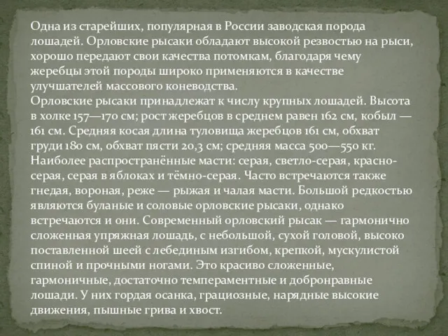 Одна из старейших, популярная в России заводская порода лошадей. Орловские