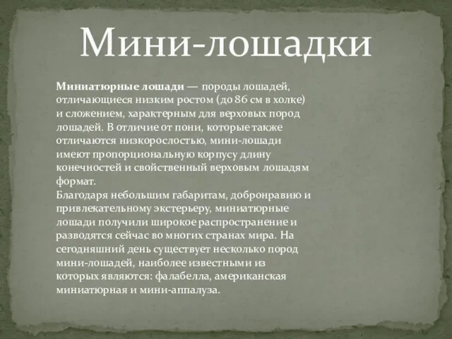 Мини-лошадки Миниатюрные лошади — породы лошадей, отличающиеся низким ростом (до