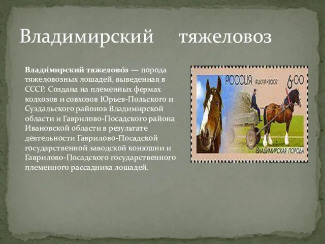 Владимирский тяжеловоз Влади́мирский тяжелово́з — порода тяжеловозных лошадей, выведенная в