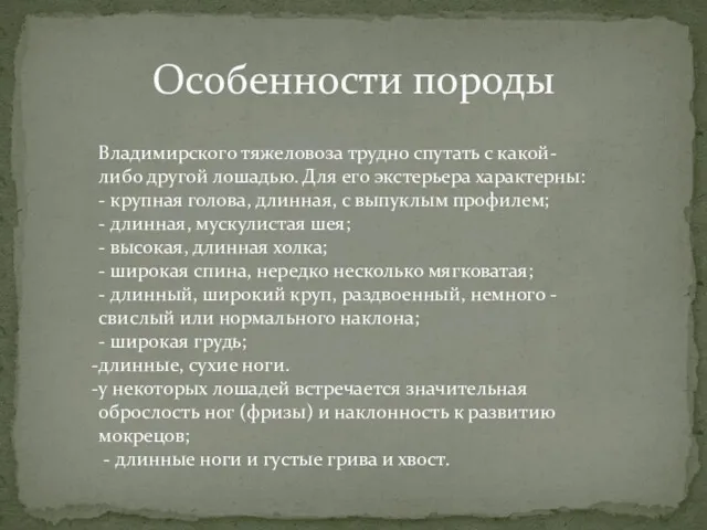 Особенности породы Владимирского тяжеловоза трудно спутать с какой-либо другой лошадью.