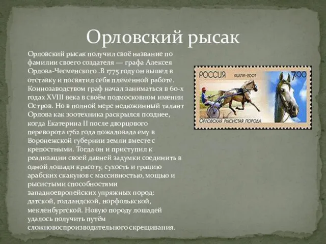 Орловский рысак Орловский рысак получил своё название по фамилии своего