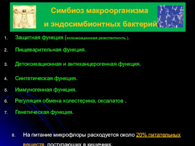 Симбиоз макроорганизма и эндосимбионтных бактерий Защитная функция (колонизационная резистентность ).